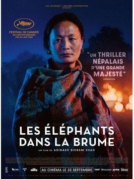 affiche du film Les éléphants dans la brume