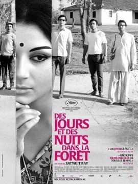 affiche du film Des jours et des nuits dans la forêt