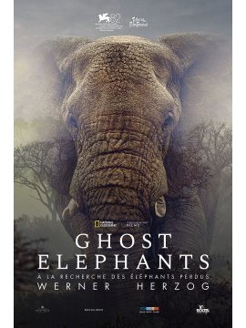 affiche du film Ghost elephants
