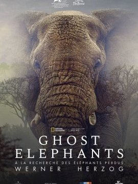 affiche du film Ghost elephants