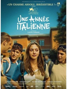 affiche du film Une année italienne